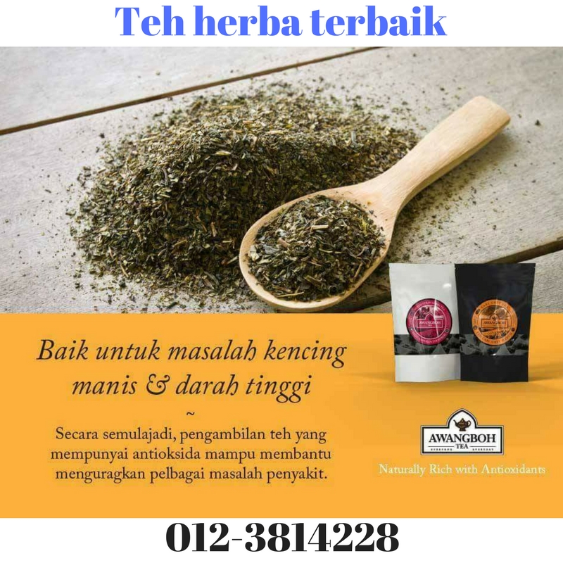 Awangboh teh herba ubat darah tinggi