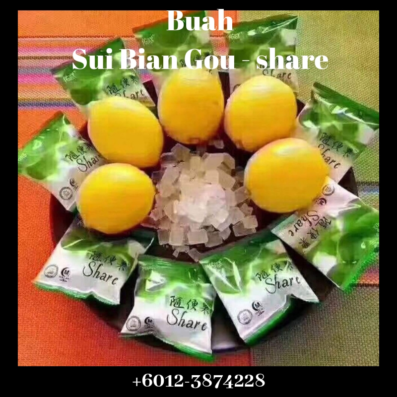 Buah Sui Bian Gou share terbaik untuk kesihatan